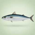 100 Different Types Of Fish Names A Z With Their Pictures