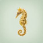 100 Different Types Of Fish Names A Z With Their Pictures