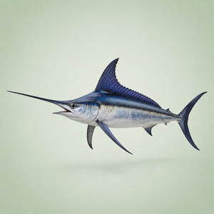 Swordfish