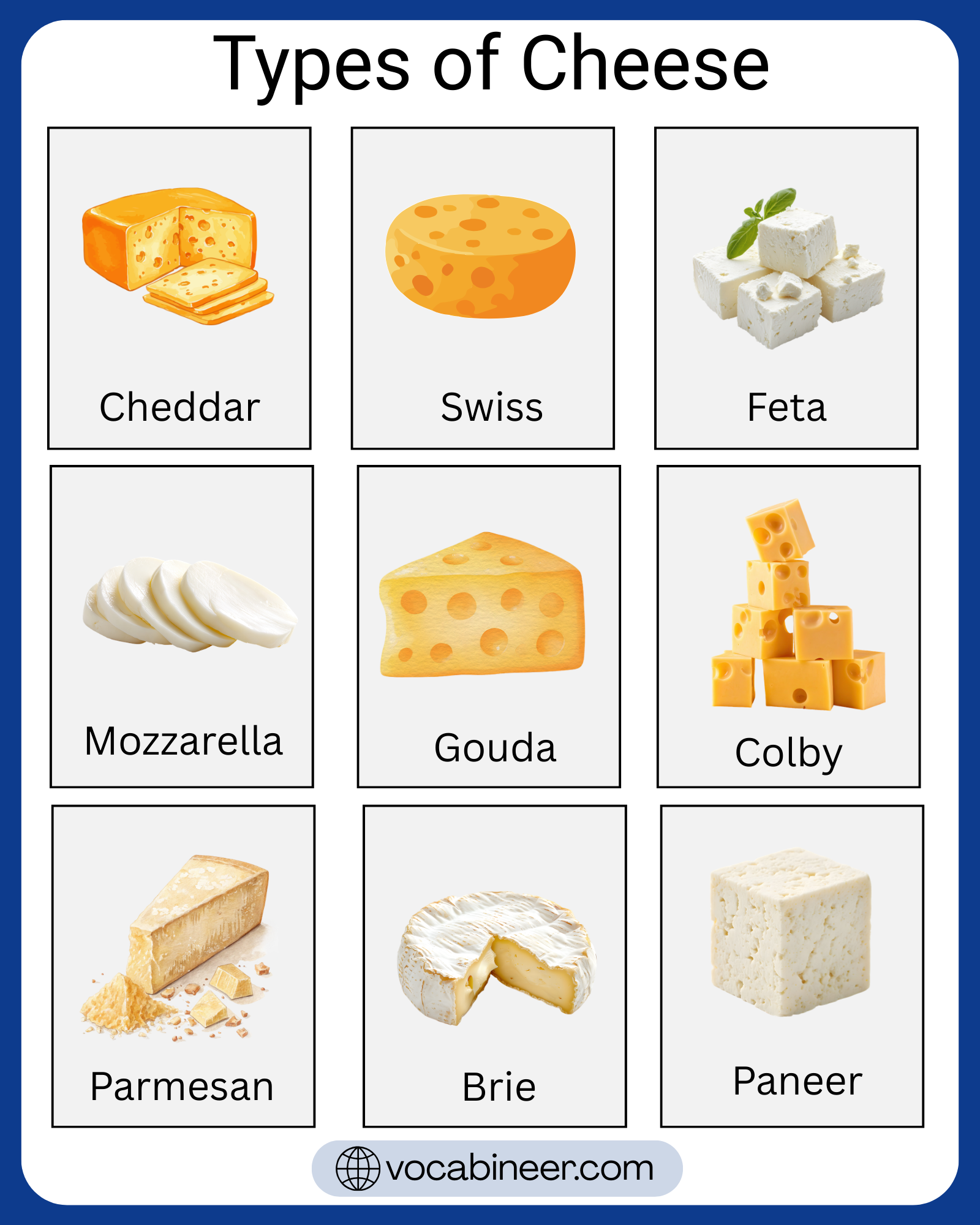 100 types of cheese with names and pictures showing fresh cheese, soft cheese, semi-soft cheese, semi-hard cheese, hard cheese, and blue cheese