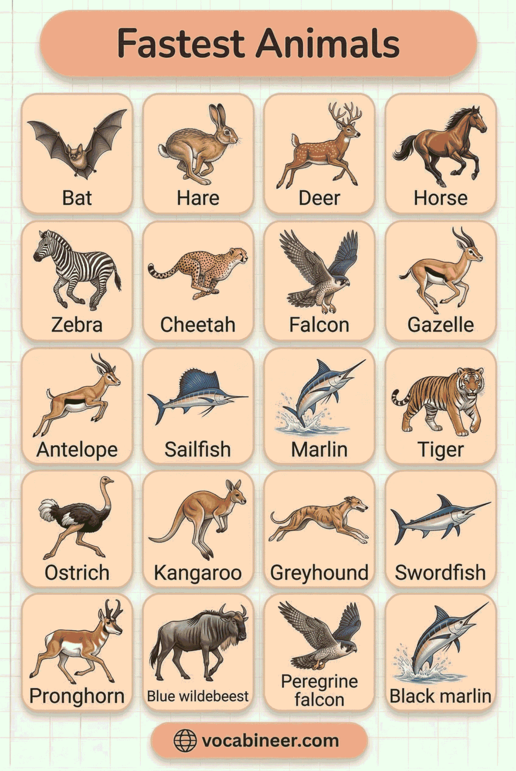 40+ Fastest Animals Names in English With Pictures Complete List