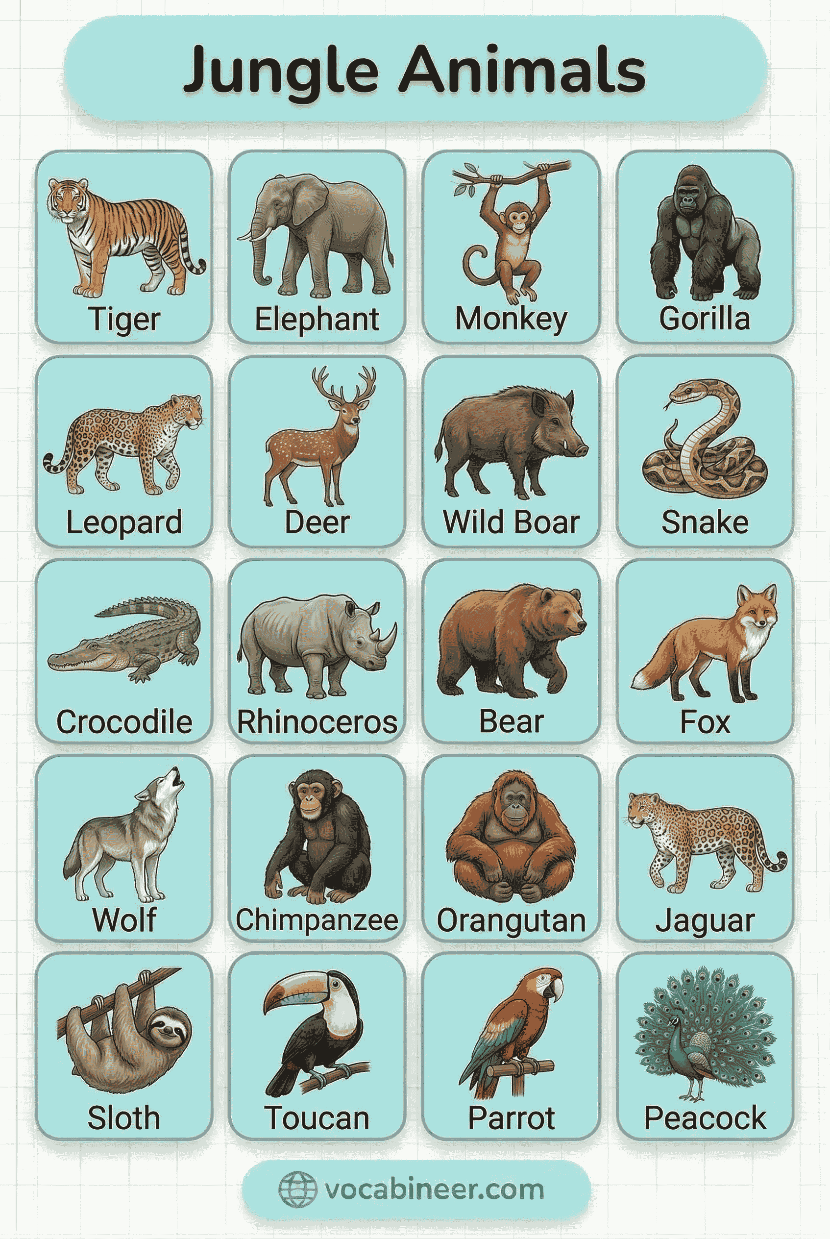 50+ Jungle Animals Names List in English With Pictures