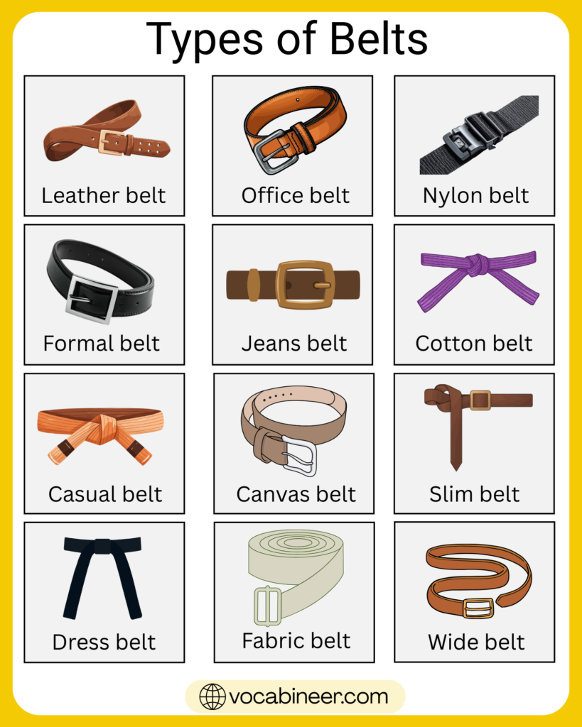 50+ types of belts with names and pictures showing dress belt, casual belt, jeans belt, tool belt, seat belt, weightlifting belt, and back support belt