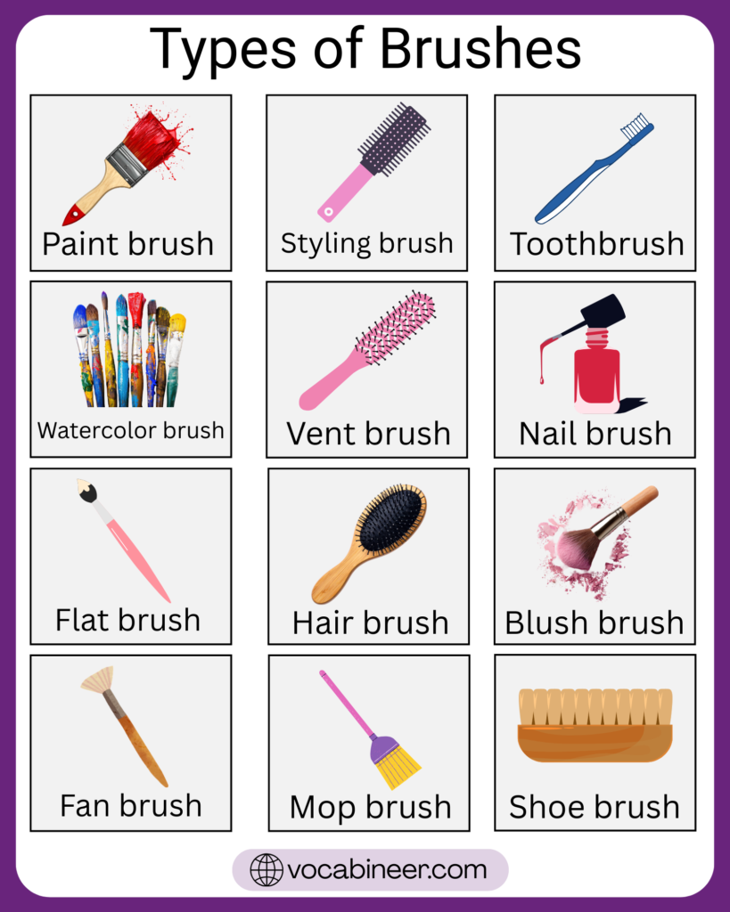 60+ brush types names list with pictures and uses showing hair brushes, paint brushes, makeup brushes, cleaning brushes, toothbrushes, and pet grooming brushes