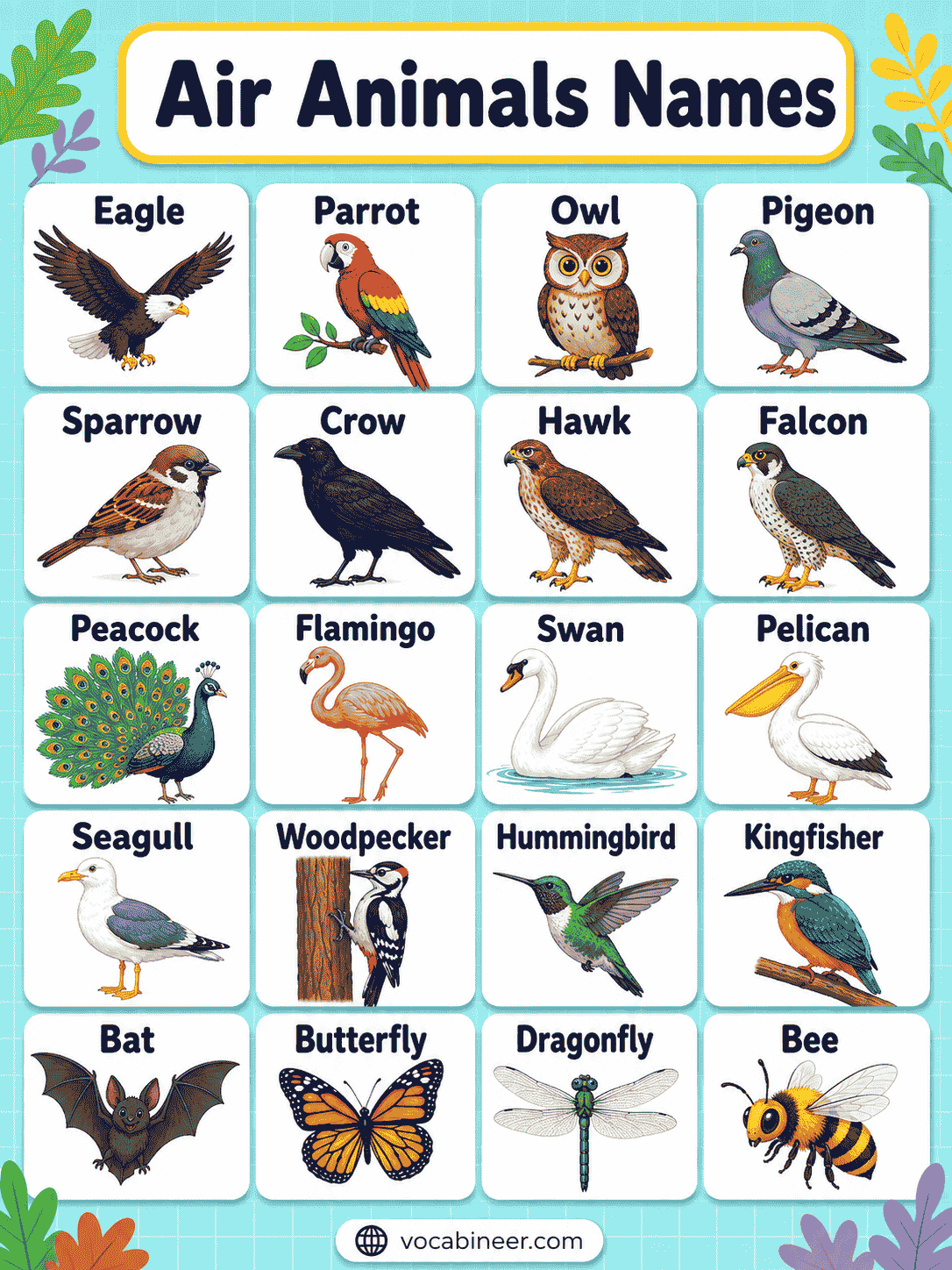Air Animals Names: English List With Pictures