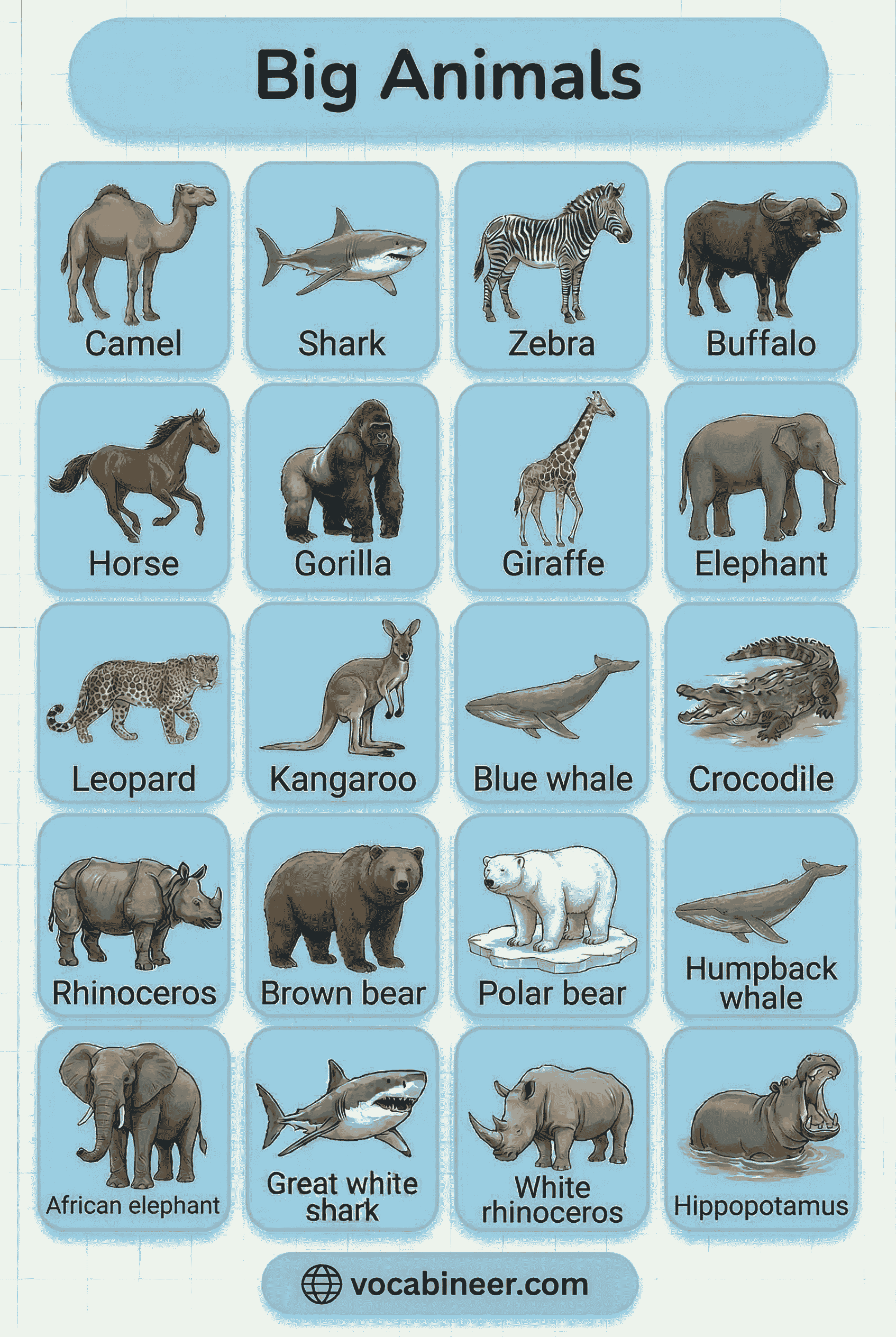 Big Animals Names List in English With Pictures including elephant, giraffe, hippopotamus, rhinoceros, whale, and gorilla