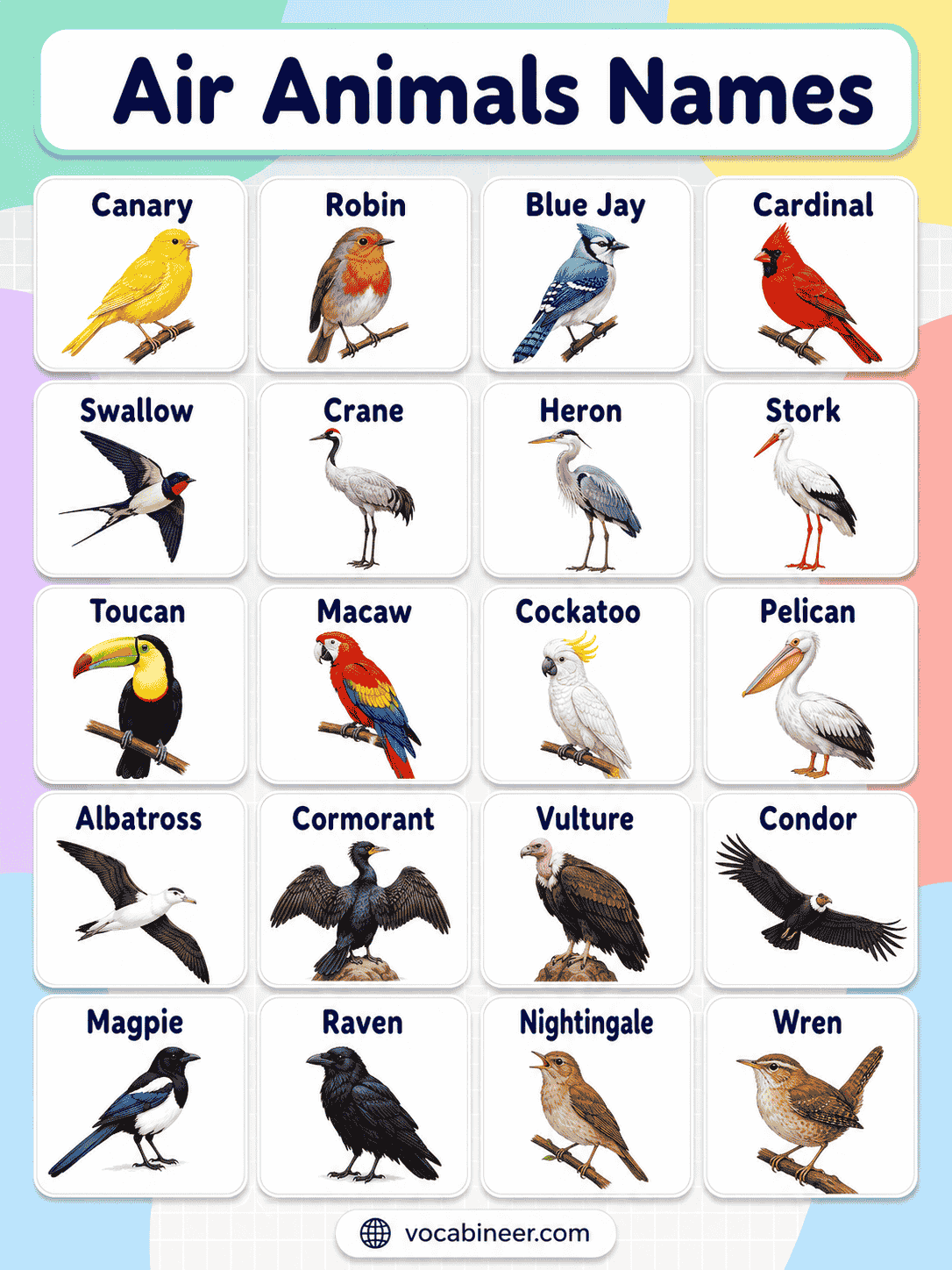 Common Air Animals Names in English With Pictures