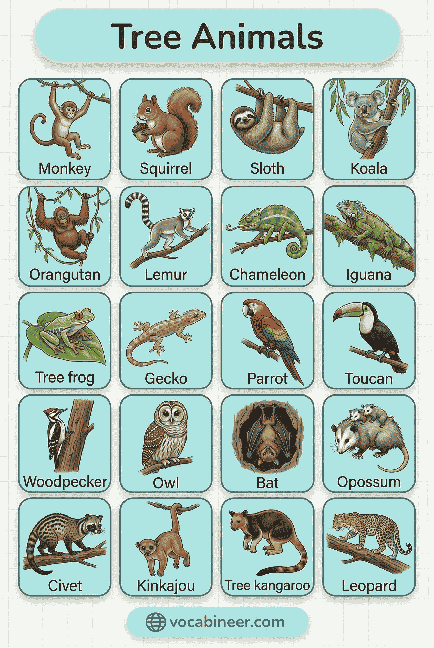 complete list of 30 tree animals names in English with pictures showing common tree mammals, birds, reptiles, amphibians, and insects