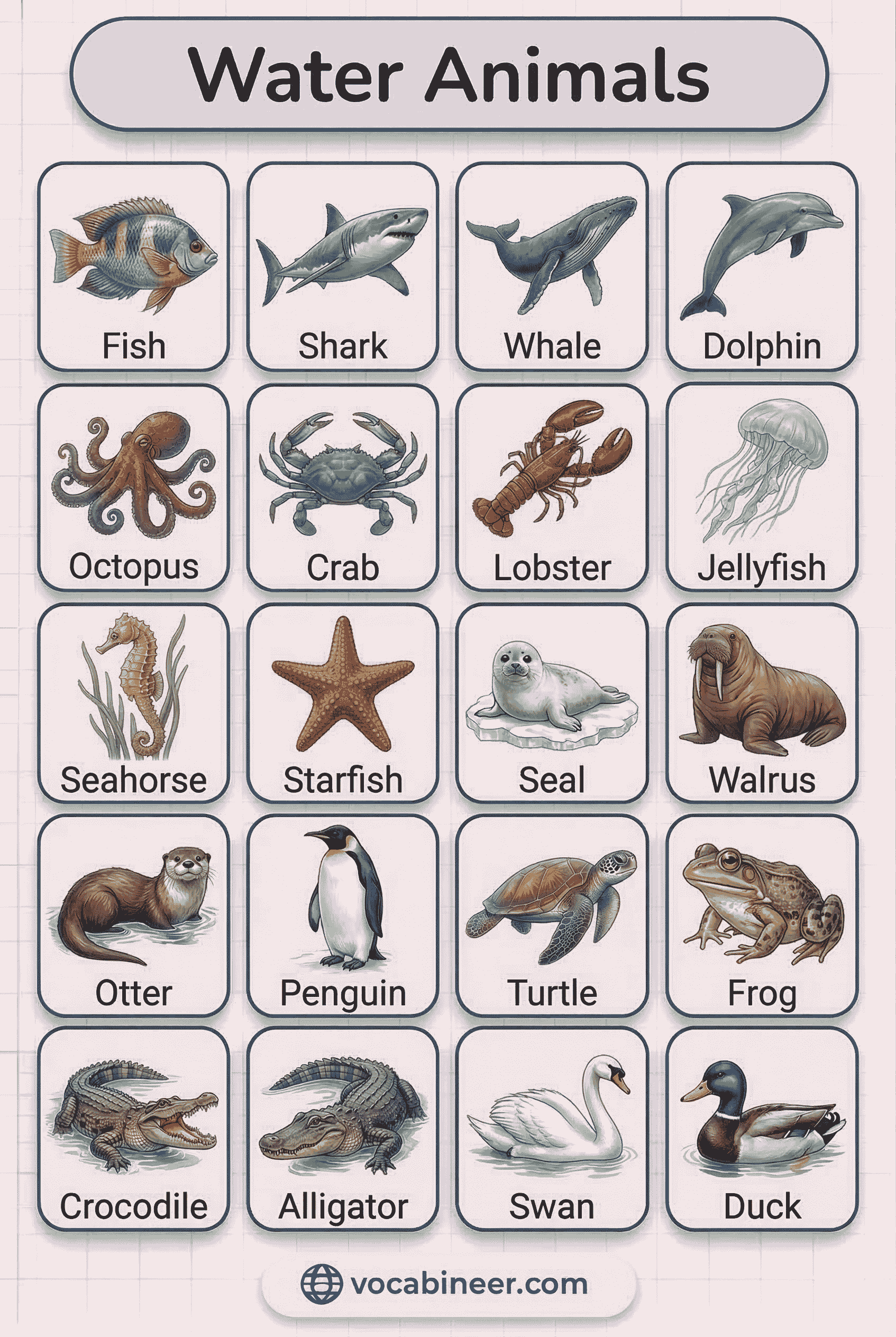 50+ types of water animals in English with pictures showing common freshwater and sea water animals