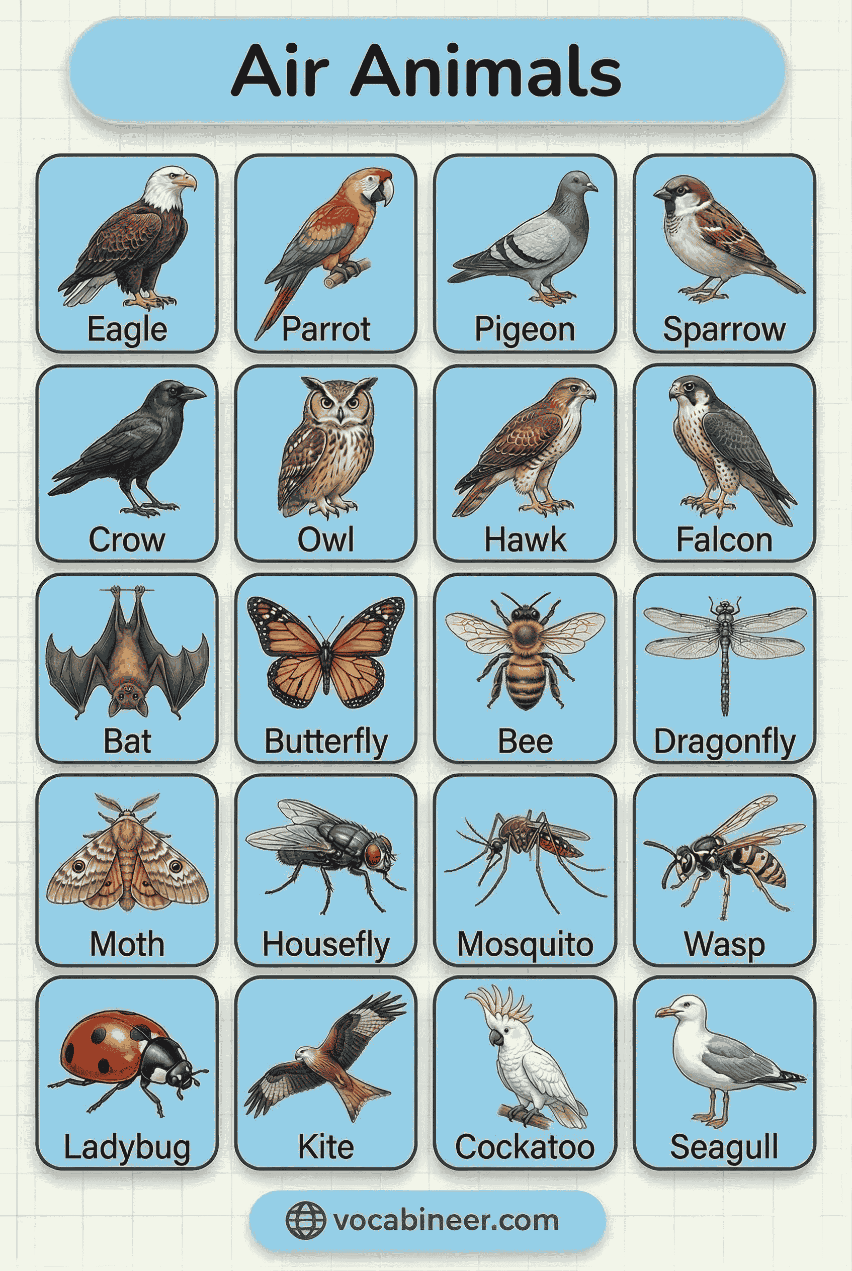 complete list of 30 air animals names in English with pictures for kids and ESL learners