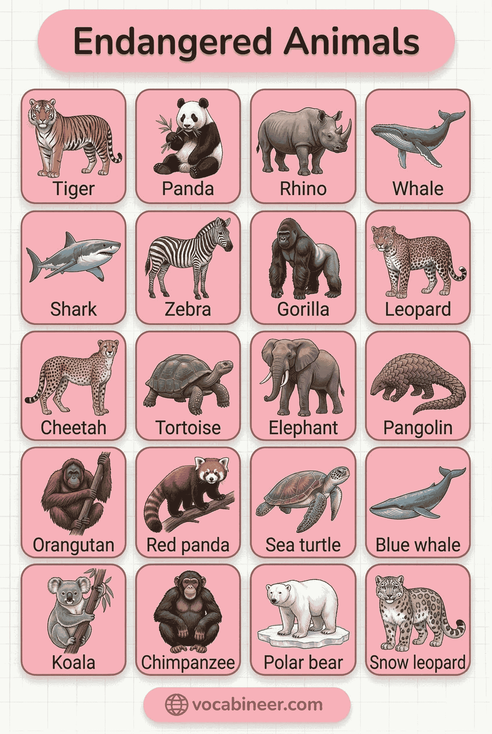 Endangered Animals Names in English With Pictures including tiger, Asian elephant, red panda, blue whale, chimpanzee, and sea turtle