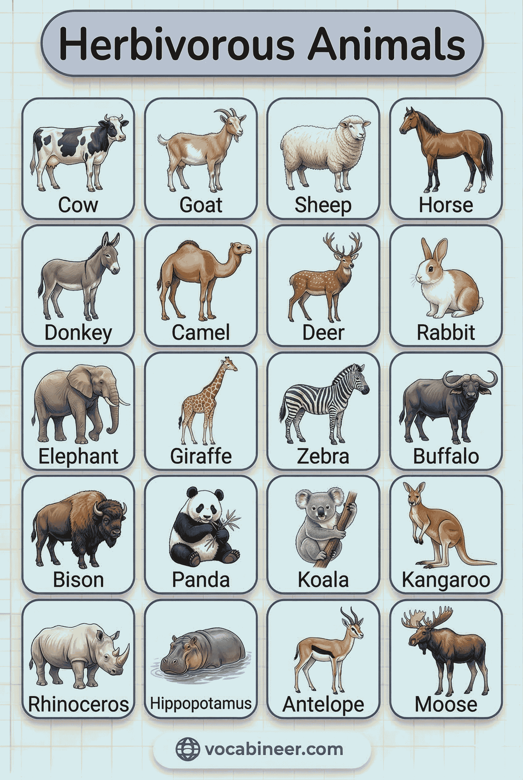 Complete list of herbivorous animals with pictures showing farm animals, wild animals, birds, reptiles, and insects