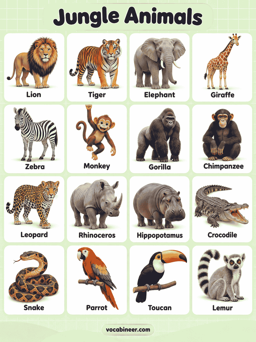 Jungle Animal Names With Pictures for Learners