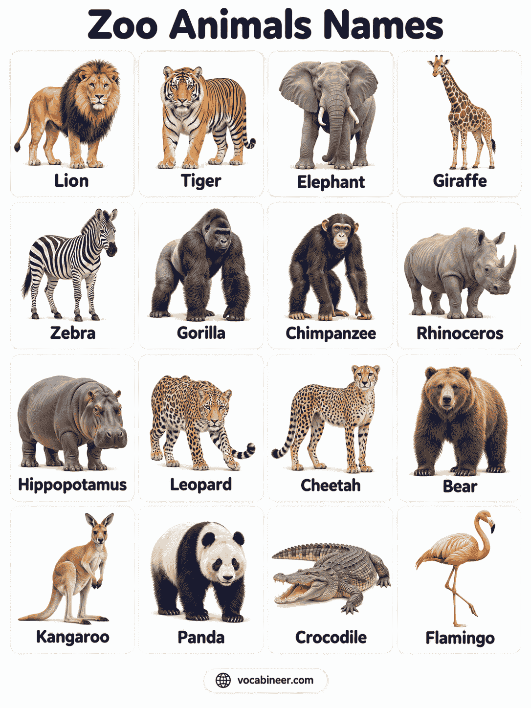 Zoo Animals Names List in English With Pictures