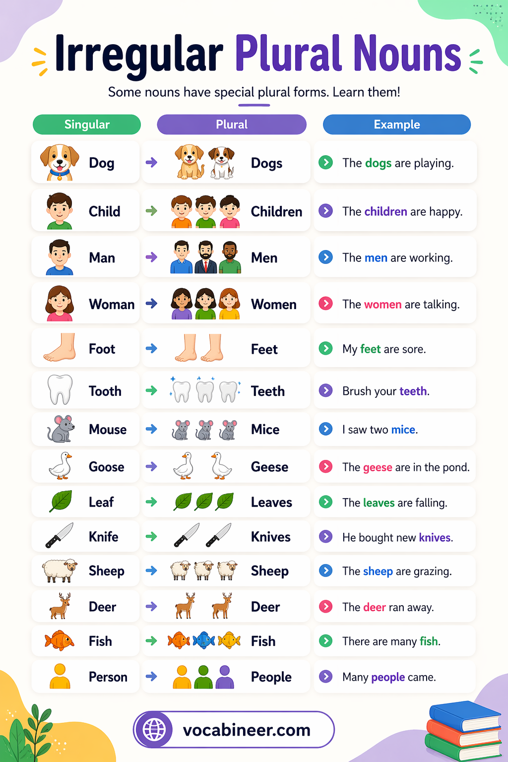 100 irregular plural nouns in English with examples for students and English learners