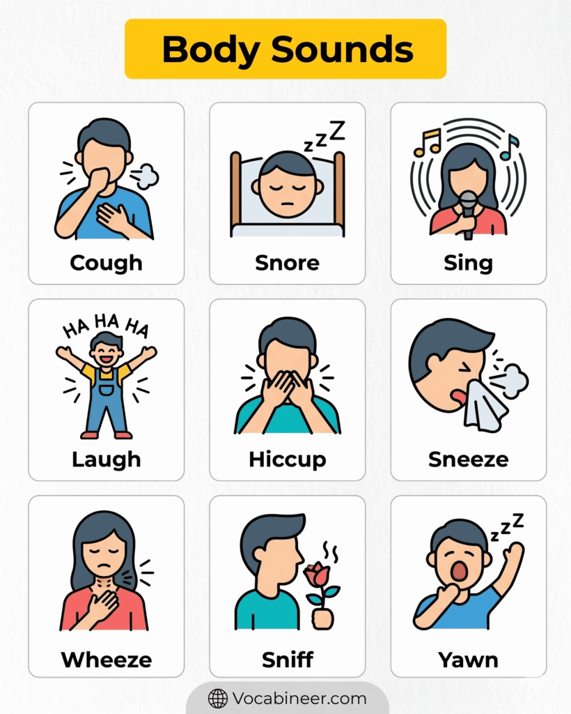 Sounds Humans Make 30 Human Body Sounds in English with Meanings
