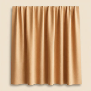 Curtain