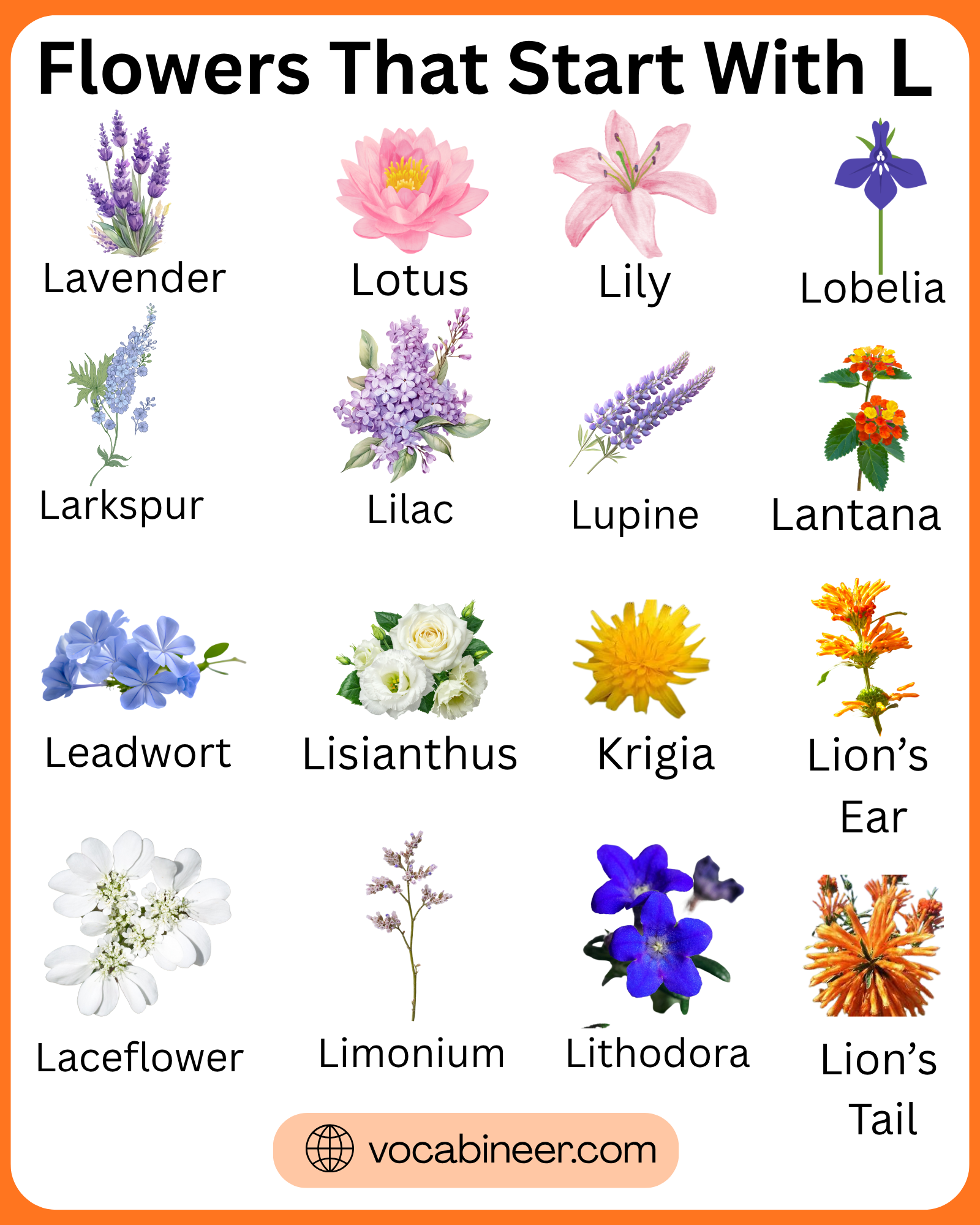 Flowers that start with L collage featuring lavender, lilac, lily, and lotus