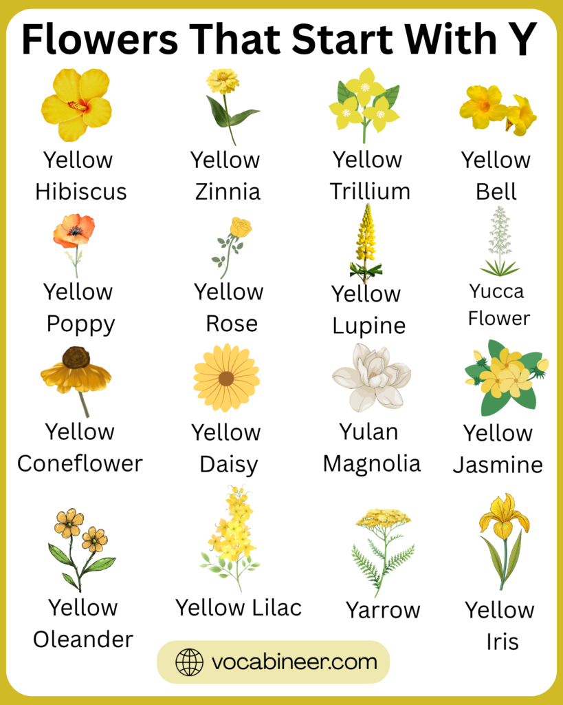 Flowers that start with Y featuring 25+ unique flower names and pictures in a visual guide