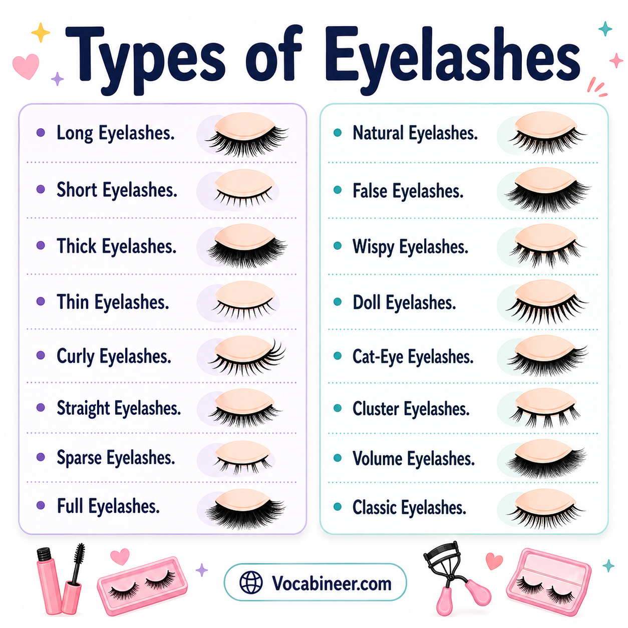 Types of eyelashes showing 25 lash styles with pictures, including short, long, curly, sparse, strip, classic, volume, cat eye, and C curl lashes.