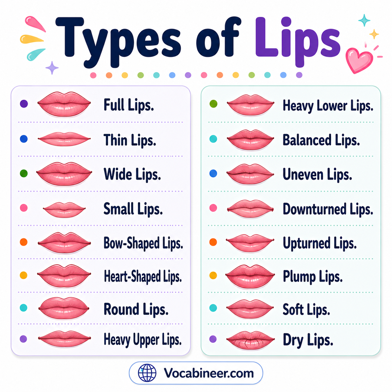 Types of lips showing 28 lip shapes with names and pictures, including full, thin, round, heart-shaped, and asymmetrical lips.