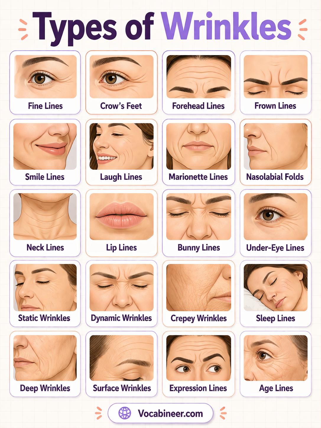 Types of wrinkles showing 30 wrinkle names with pictures, including fine lines, forehead lines, frown lines, crow’s feet, smile lines, and neck lines.