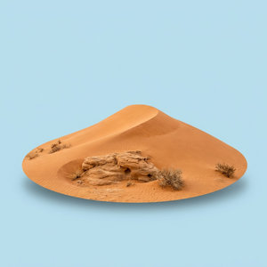 Desert