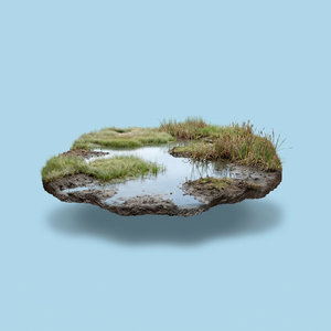 Marsh