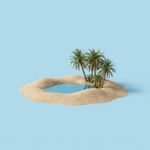 Oasis