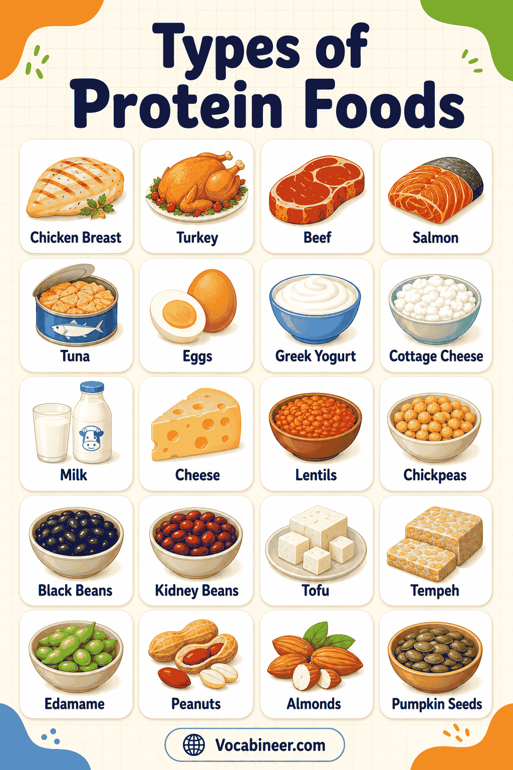 A visual chart showing over 100 protein food names with pictures, including eggs, chicken, fish, milk, yogurt, cheese, lentils, beans, tofu, nuts, seeds, and quinoa.
