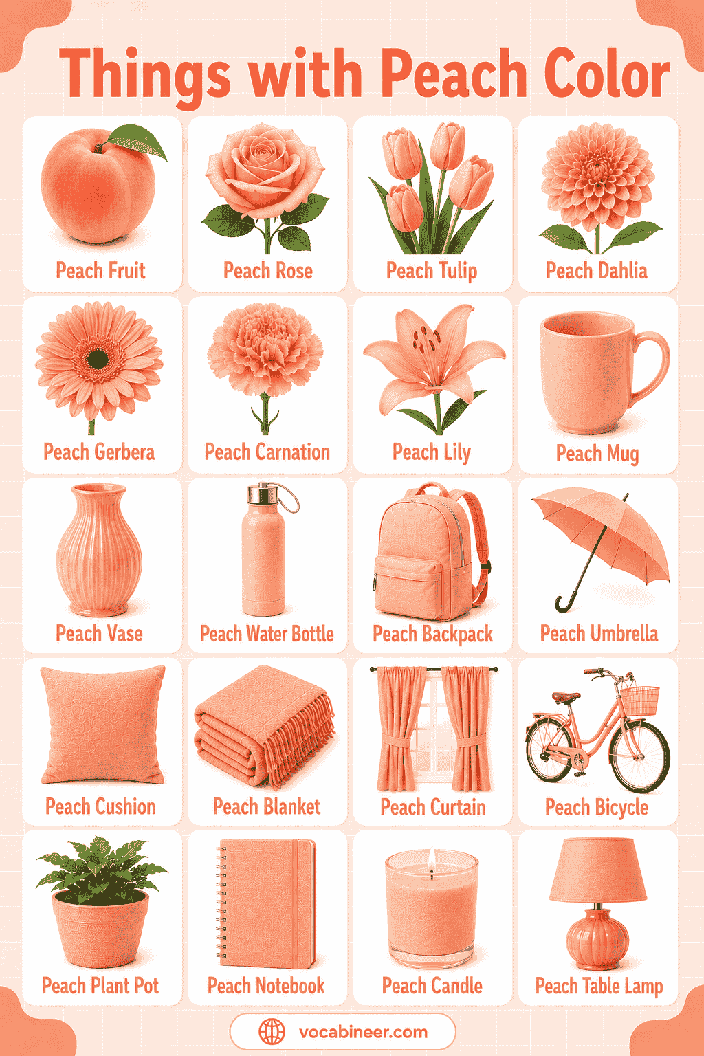144 Things with Peach Color with Names and Pictures