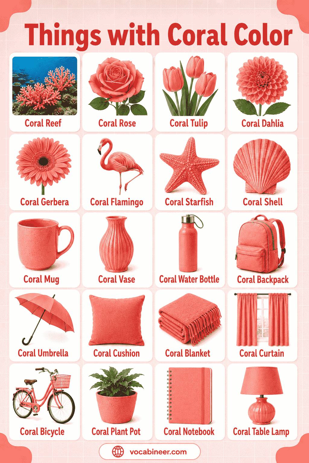 177 Things with Coral Color with Names and Pictures