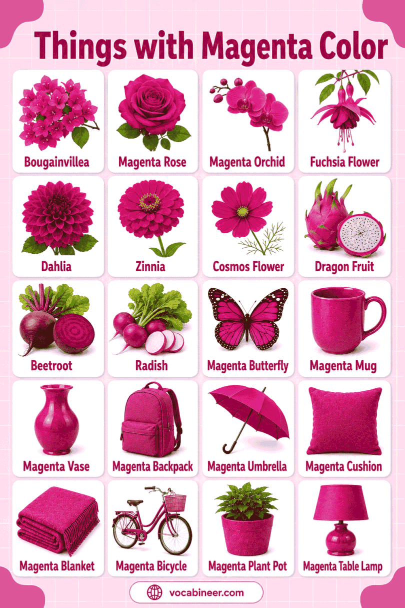 195 Things with Magenta Color with Names and Pictures