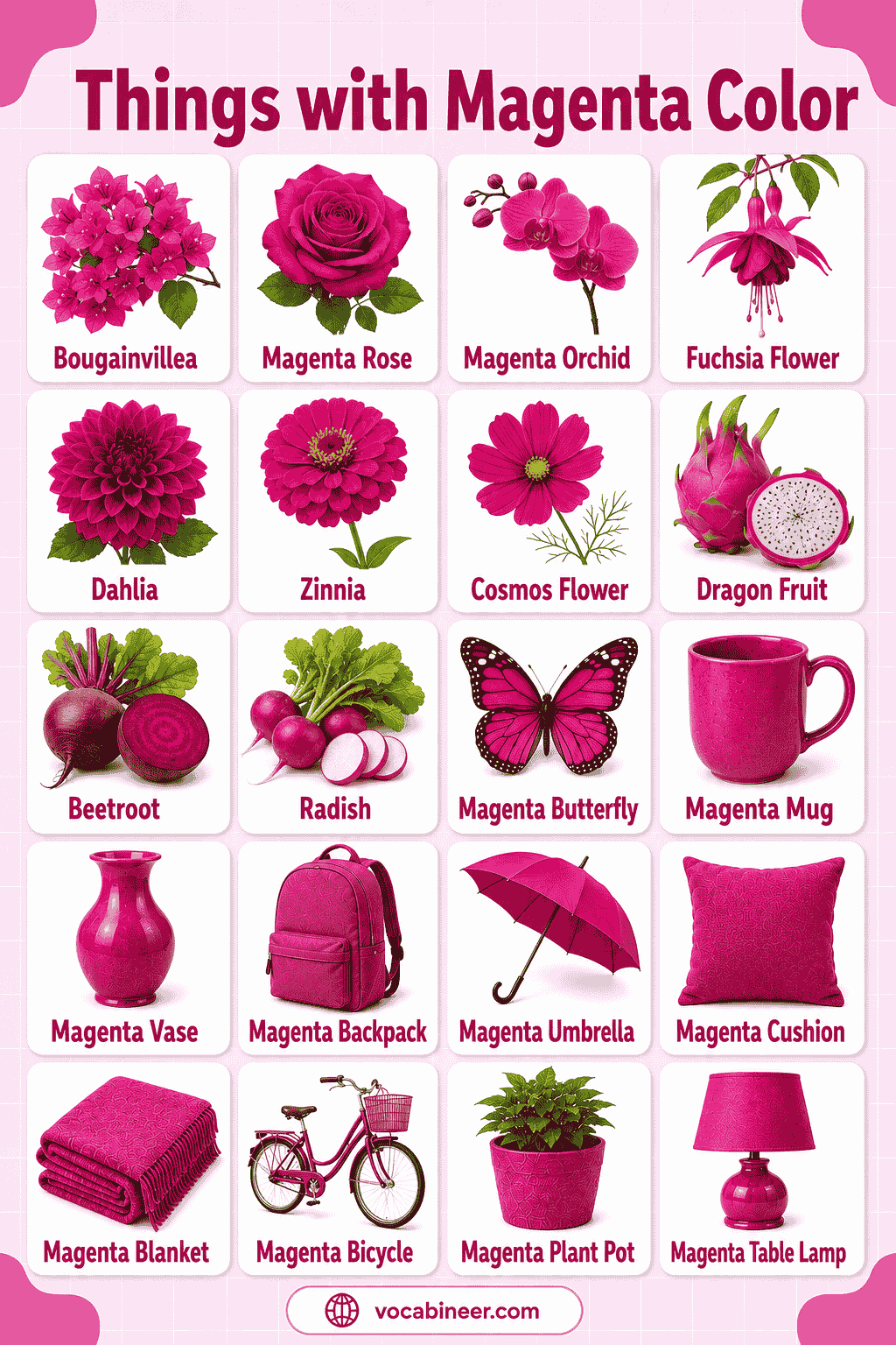 195 Things with Magenta Color with Names and Pictures
