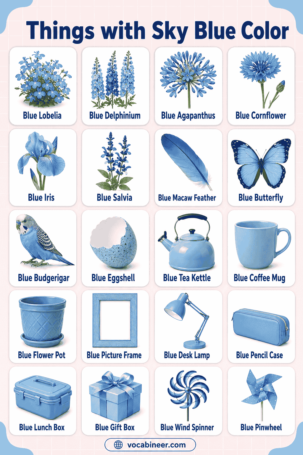Common Objects That Are Sky Blue with Pictures