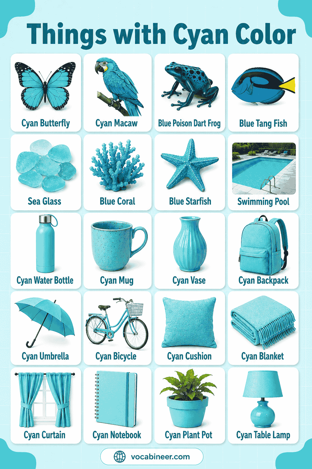 Common Things That Are Cyan with Pictures