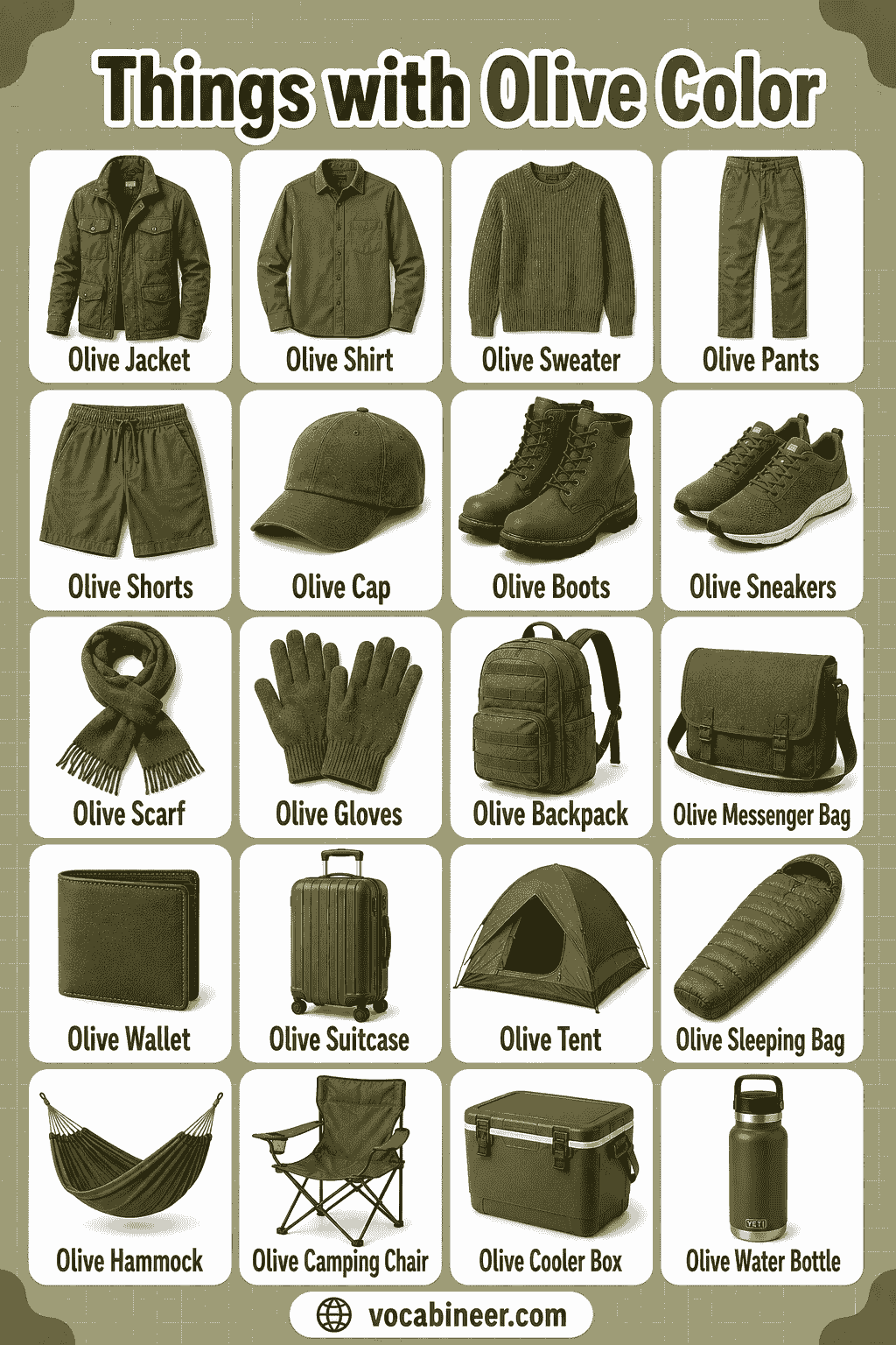 Common Things That Are Olive with Pictures