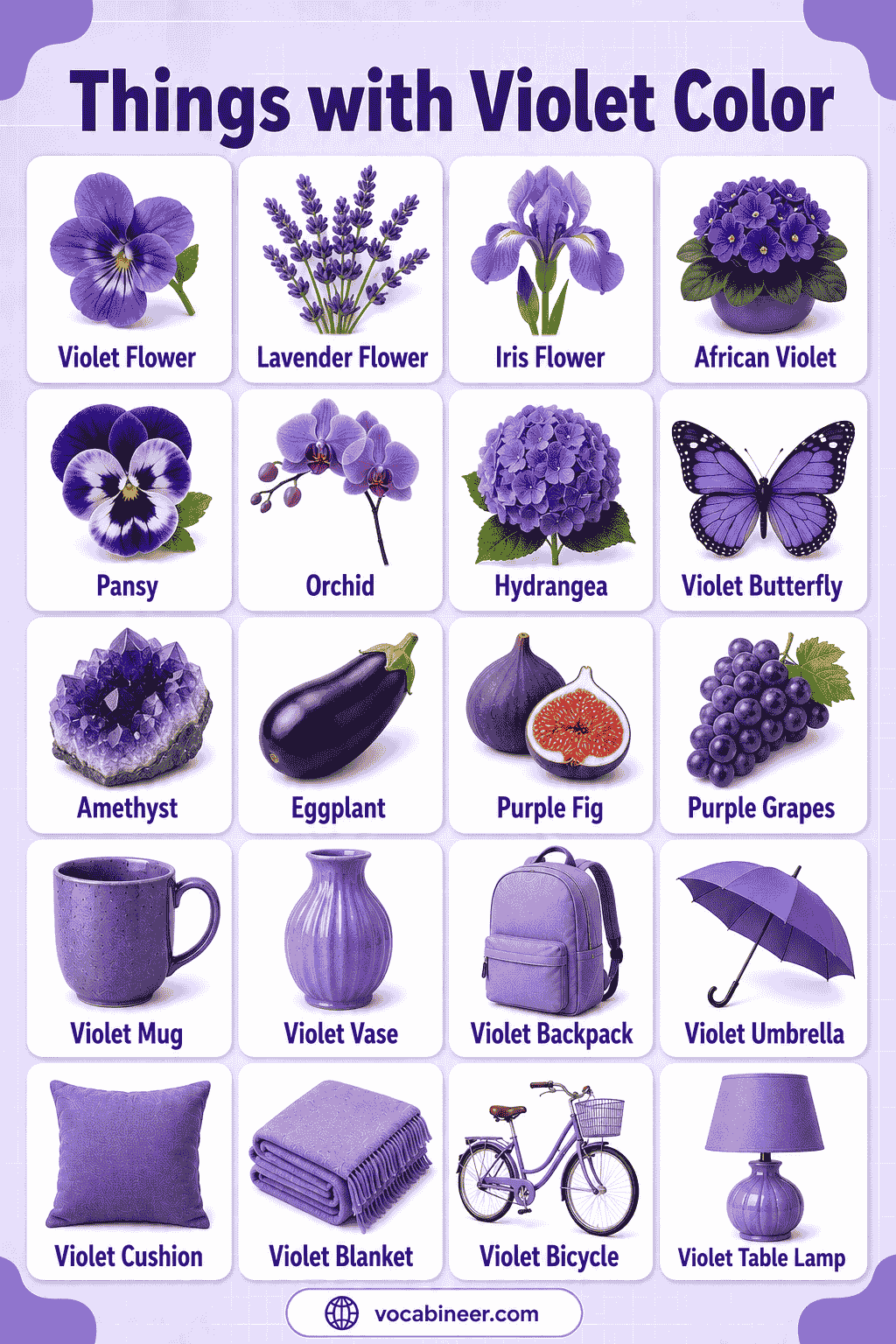Common Things That Are Violet with Pictures