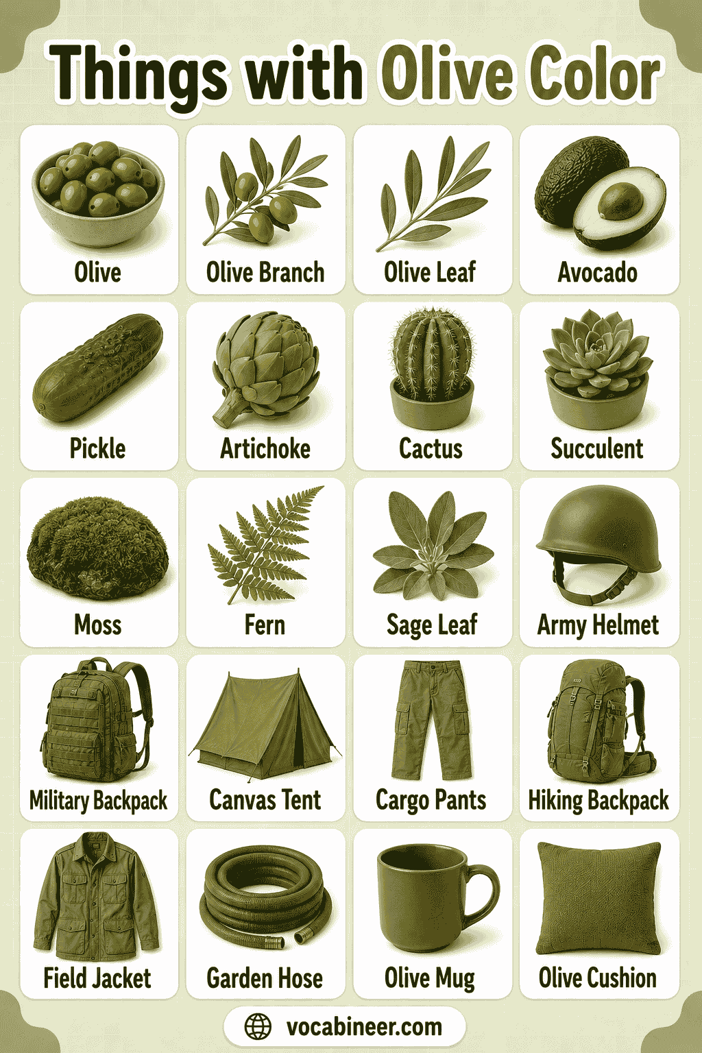 Olive Things List of 222 Olive Color Objects with Pictures