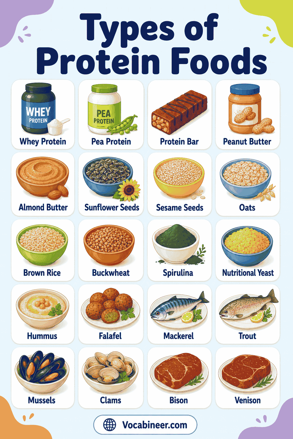 Protein Foods Chart with Pictures