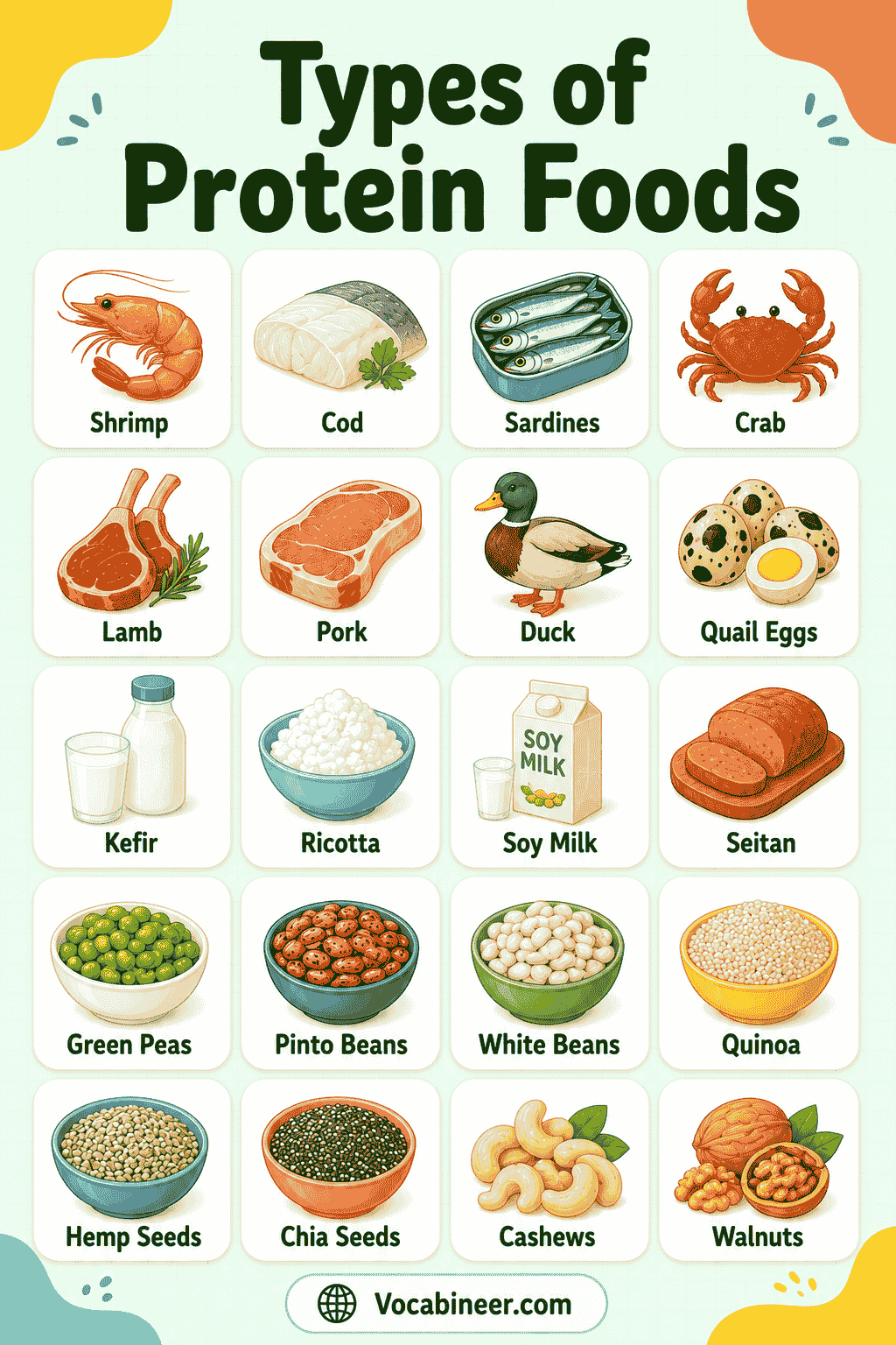 Protein Sources with Names and Pictures