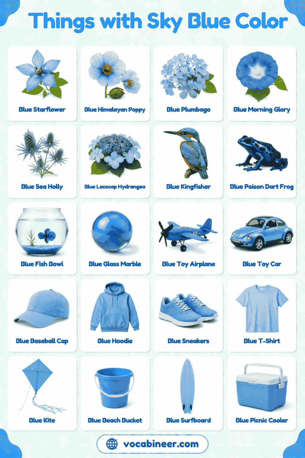 Sky Blue Things List with Pictures and Meanings
