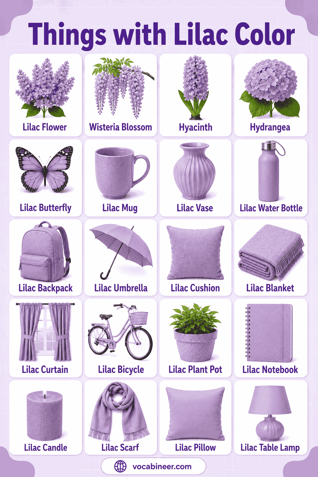Things That Are Lilac Flowers, Clothes, and Objects