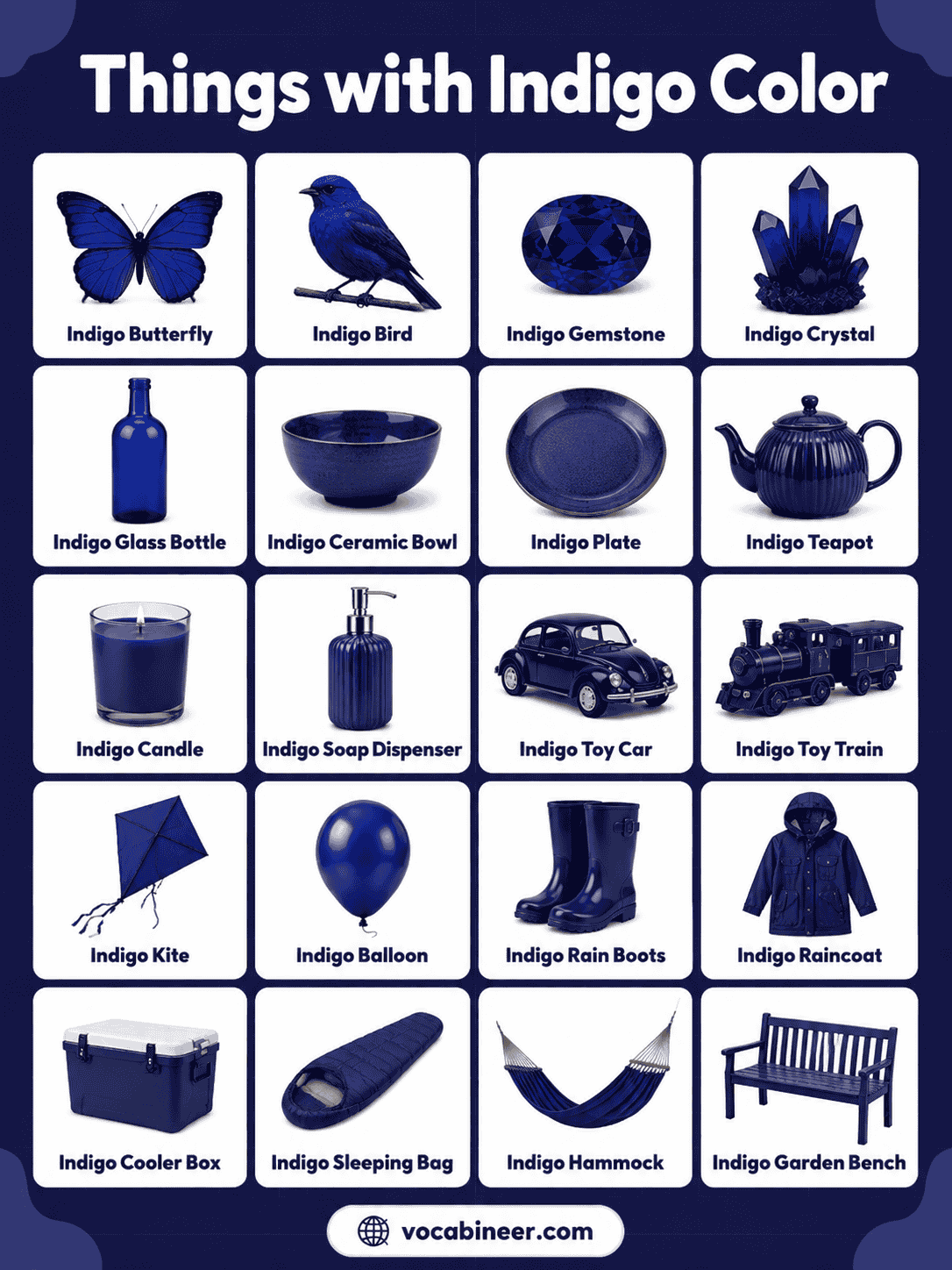 Things with Indigo Color with Names and Pictures