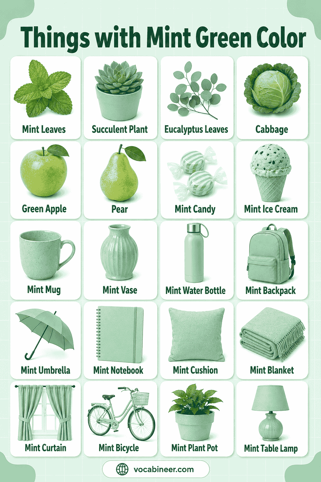 Things with Mint Green Color with Names and Pictures