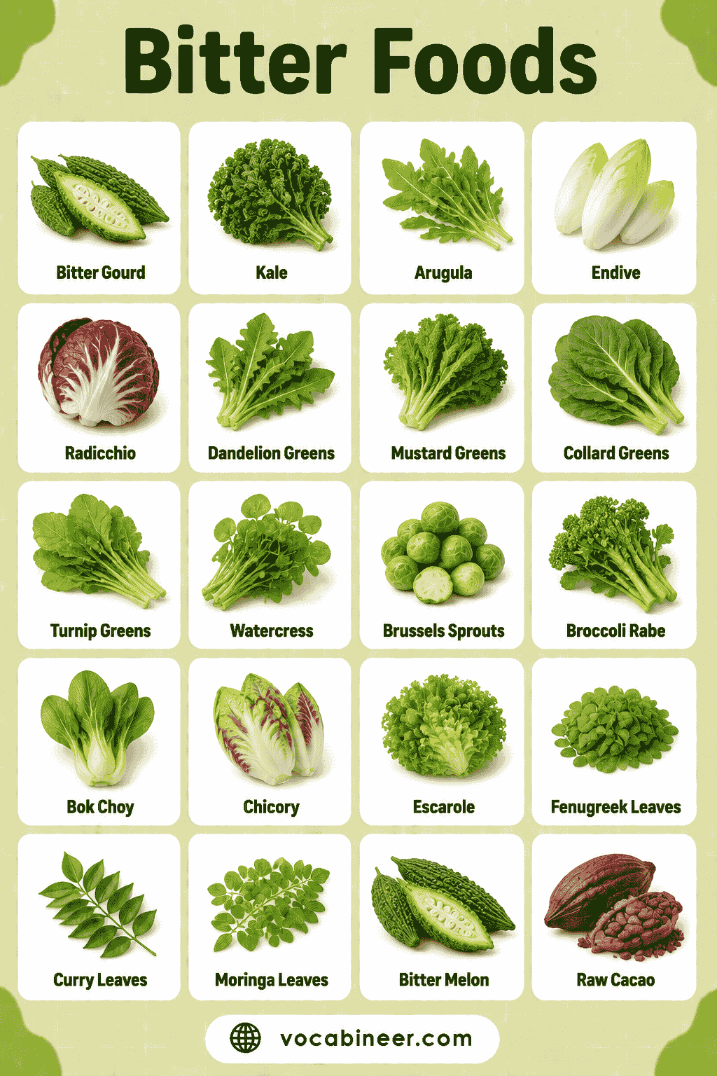 Bitter Food Names with Meanings & Pictures: Easy Guide