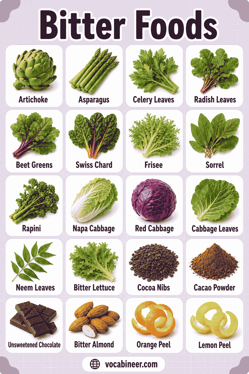 Common Bitter Food Names with Taste and Uses Explained