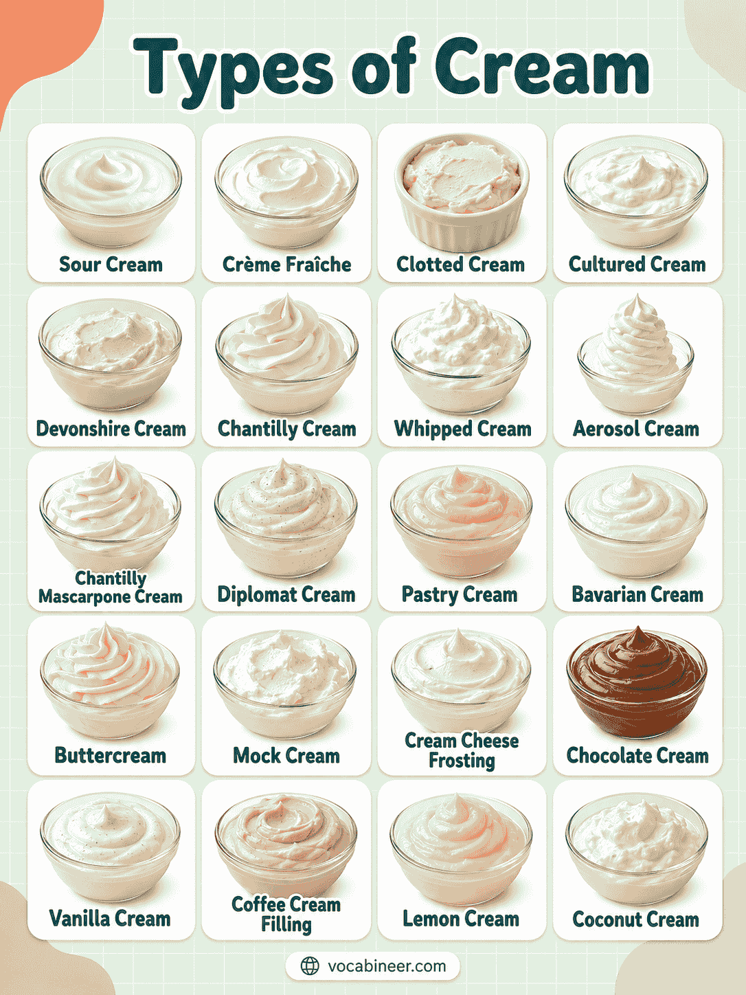 Common Cream Types with Names, Uses, and Comparisons