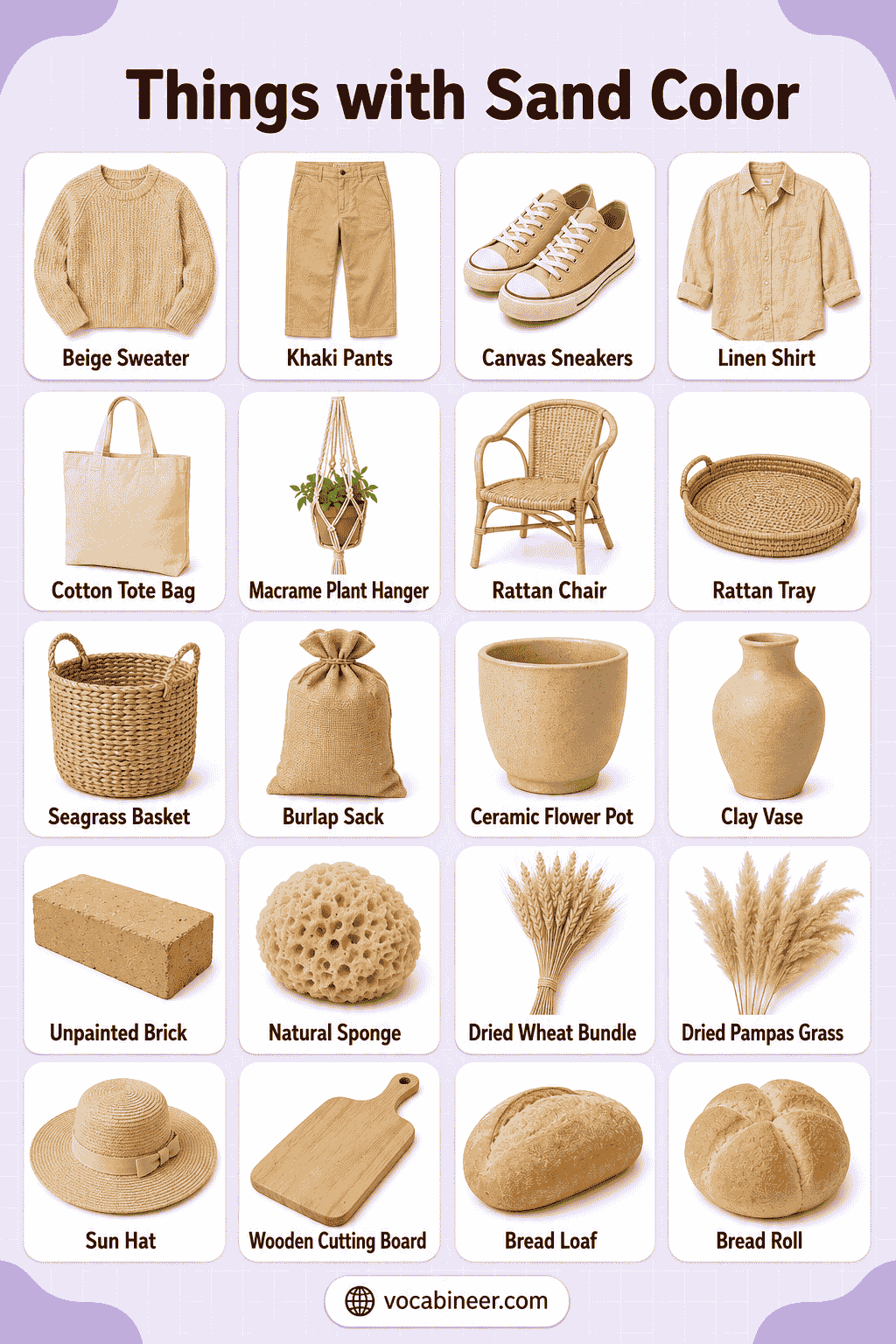 Common Objects That Are Sand Color