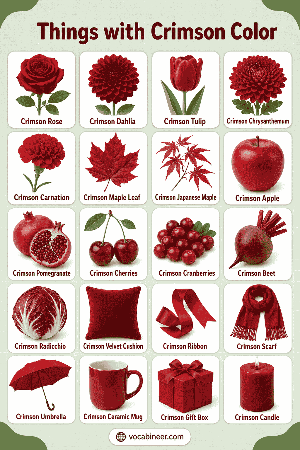 Crimson-Colored Things 150+ Object Names with Pictures